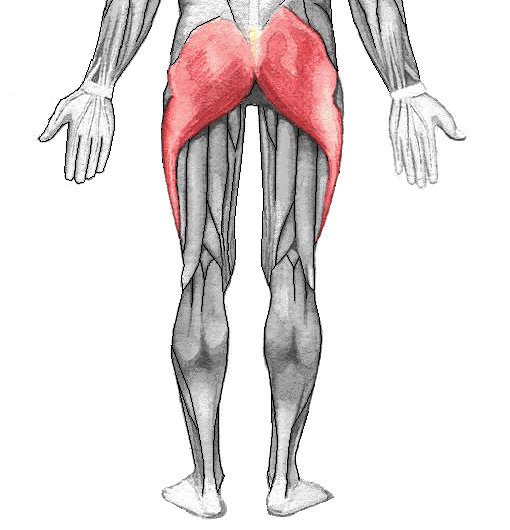 Glute Activation – Reducing Knee Pain